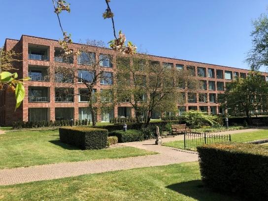 Newsletter The Netherlands no. 12 | Sisters of Charity News