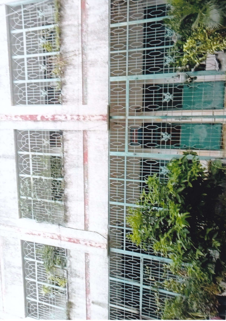 Stella Matutina Community 